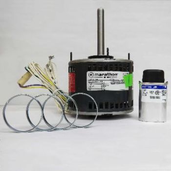 Convection Fan Motor: FEC120 & FEC240