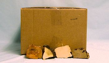 Wood Sample Kit